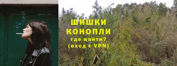 бошки Лагань