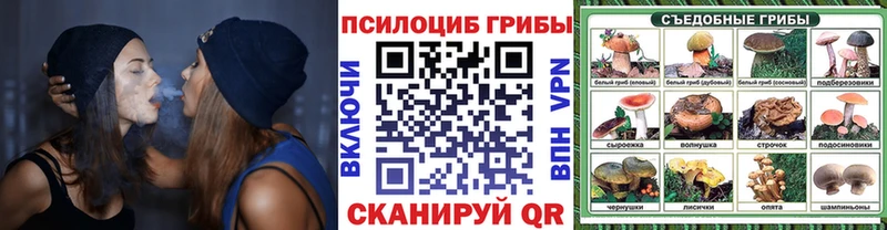 Купить  Клинцы  Псилоцибиновые грибы Psilocybine cubensis 